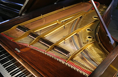 Antique, Steinway  Concert Grand Piano for sale. We are looking for Steinway pianos any age or condition.