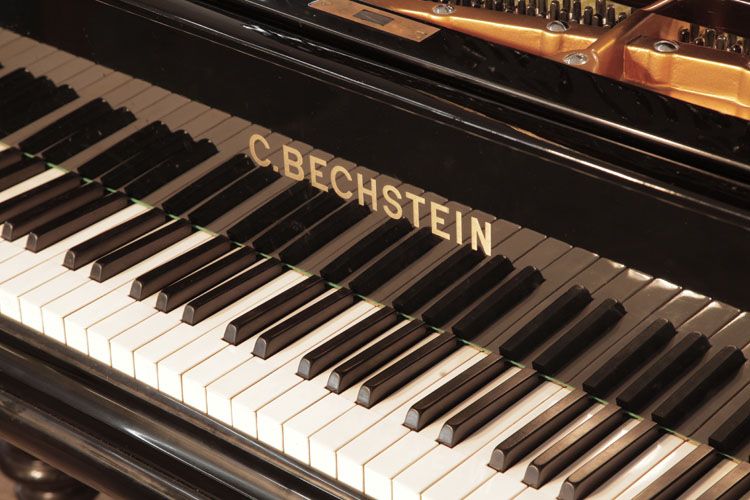 Bechstein manufacturers name inlaid on fall