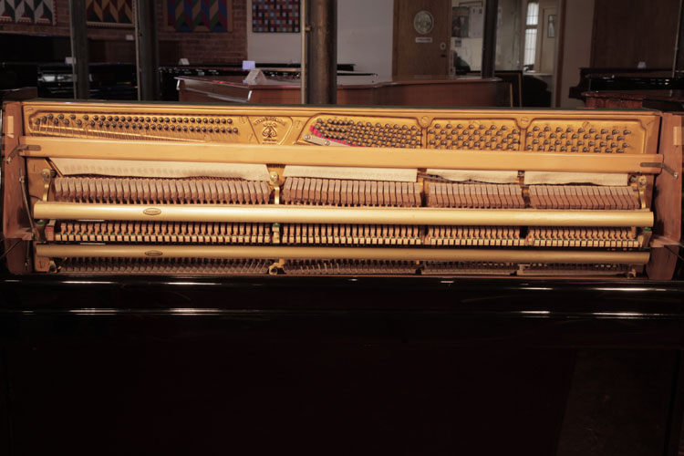 Steinway reconditioned   instrument
